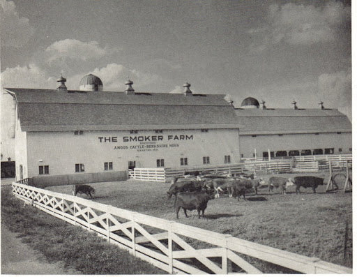 How to Buy a Beef Share: A Complete Guide For First -Time Buyers